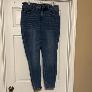 Judy Blue Skinny Jeans in Blue with Stretch